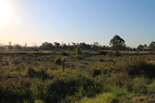 日出下的广袤原野