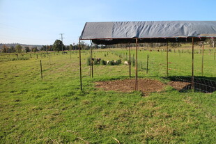 田野中的简易棚舍