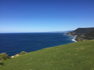 海边绿草地与辽阔海洋