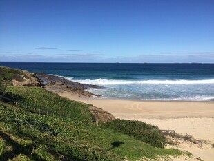 海岸风光 绿意沙滩与碧海