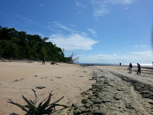 美丽海滩风光 游人漫步