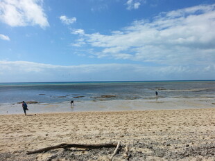 美丽海滩上的悠闲景象