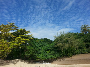 海边葱郁绿植与蓝天美景