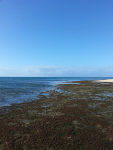 海边风光 清澈海水与浅滩