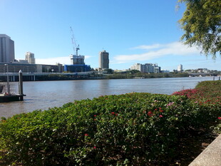 河畔城市风光美景