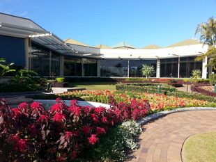 现代建筑旁的多彩花卉景观