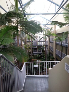 热带风情的酒店走廊景观