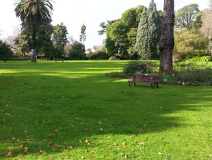 阳光照耀下的绿意公园