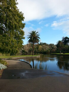 湖畔风景 静谧自然之美