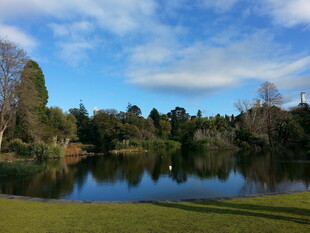 湖畔风光 宁静自然景致