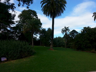 绿意盎然的户外园林景观