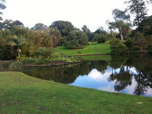 宁静湖畔的自然美景