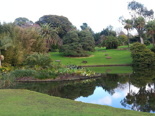 美丽静谧的园林湖泊景观