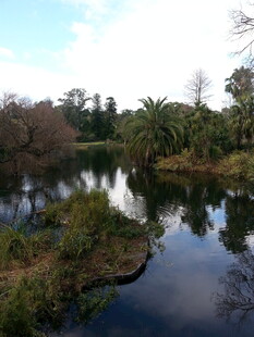宁静湖畔自然风光美景
