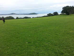 广阔绿草地与远处湖景