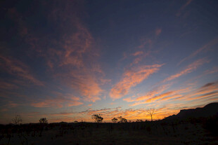 壮丽晚霞下的开阔原野