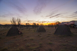 黄昏旷野中的帐篷景象