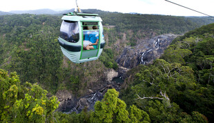 高空缆车穿梭于翠绿山林