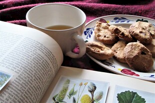 下午茶