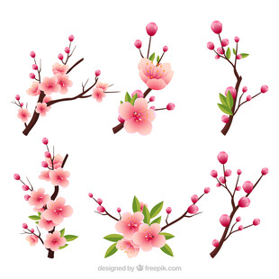 粉色桃花枝插画素材