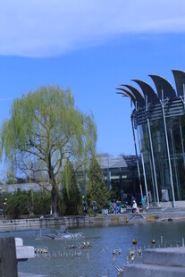公园风景  