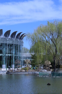 公园风景  
