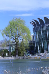 公园风景  