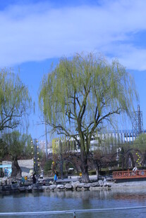 公园风景 