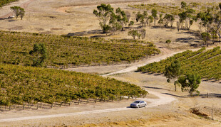 蜿蜒公路上的行驶车辆