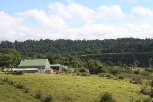 乡村绿野中的小屋