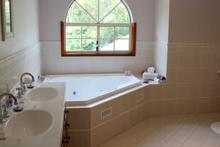 优雅浴室 弧形浴缸与窗景