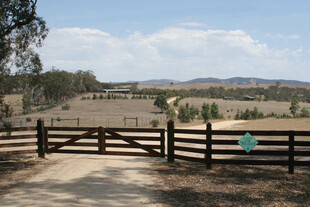 乡村牧场大门及开阔风景