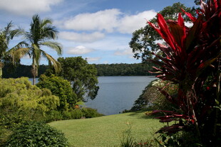 湖畔绿植环绕的美丽景致