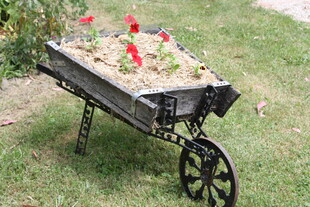 铁艺花车装点多彩花卉