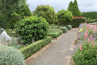 美丽花园小径 绿植环绕