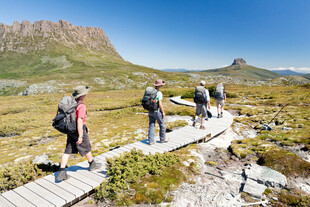 徒步者漫步于山间木板路