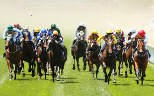 赛马比赛激烈瞬间