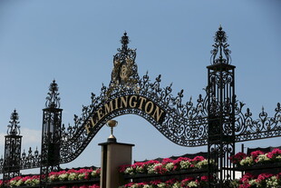 华丽铁艺拱门 尽显典雅