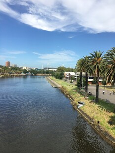 河畔风光 棕榈树与蓝天