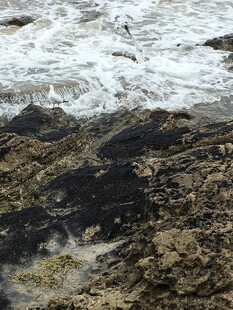 海边礁石与翻涌的浪花