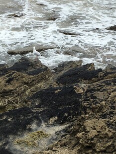 海滩上的沙石与海浪痕迹