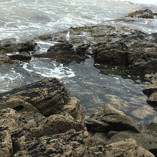 海边礁石与涌动的海水