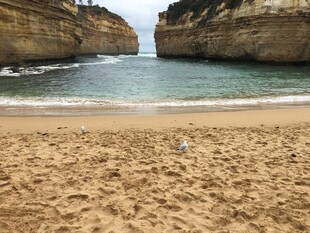 海岸沙滩间的壮阔自然景观
