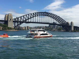 悉尼海港大桥下的游船