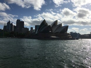 悉尼歌剧院与城市天际线
