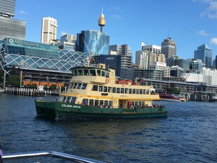 悉尼港中的渡轮