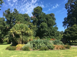 美丽户外园林景观