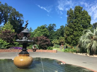 花园中的精美喷泉景观