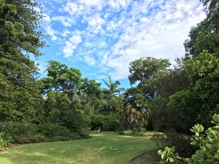 林间草地蓝天自然美景