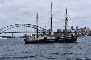 悉尼港中的古典帆船